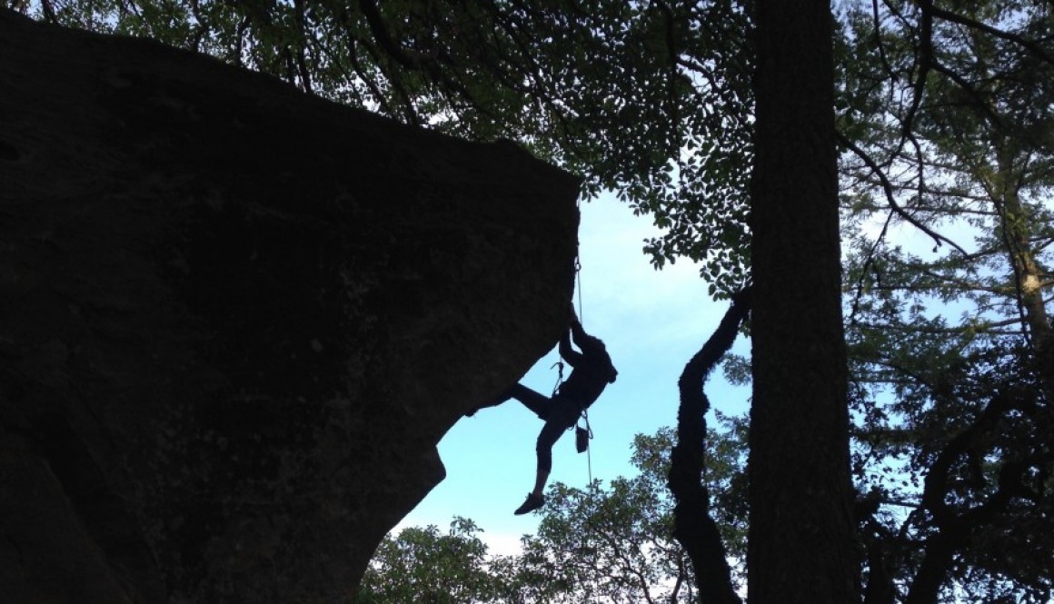 Do you have the courage to listen to your market? Do you have the courage to listen to your market?