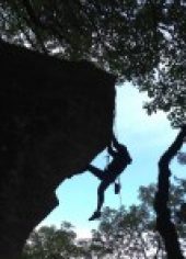 Do you have the courage to listen to your market?