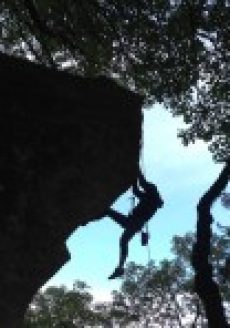 Do you have the courage to listen to your market?